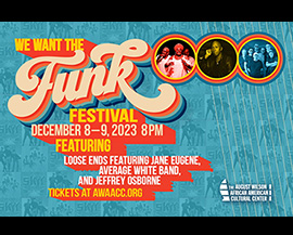 We Want The Funk Festival flyer